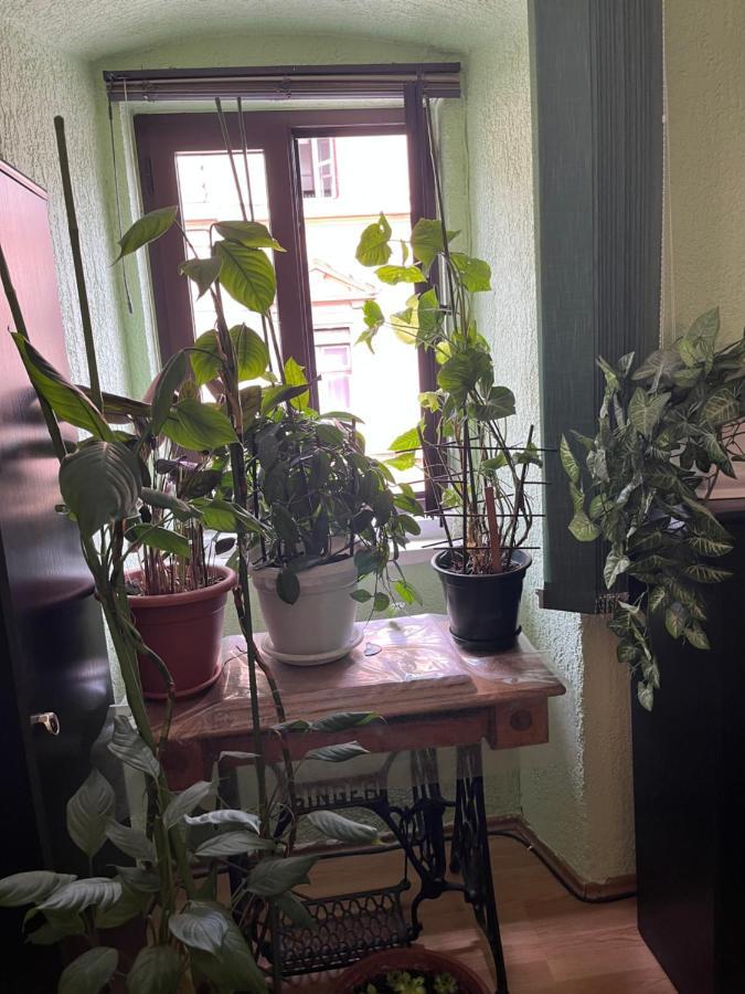 Apartament Apartman Lora Rijeka Zewnętrze zdjęcie