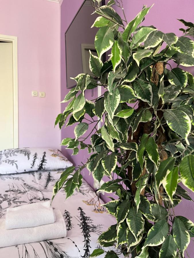Apartament Apartman Lora Rijeka Zewnętrze zdjęcie